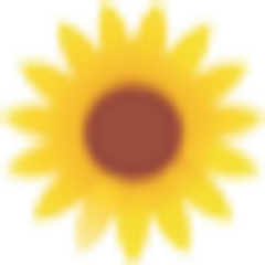 Logo Fleurs de Soleil