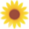 Logo Fleurs de Soleil