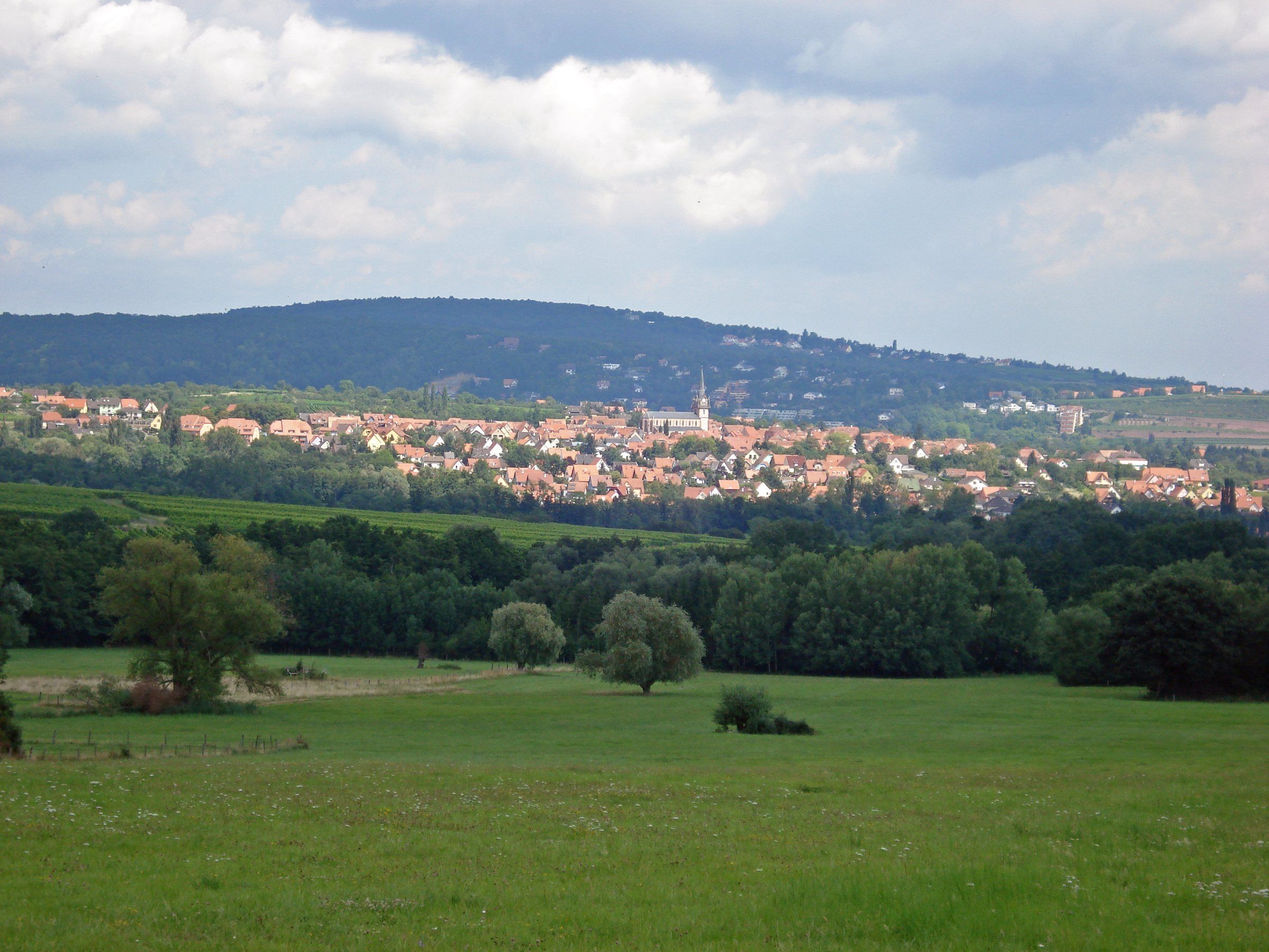 Vue de Bernardswiller