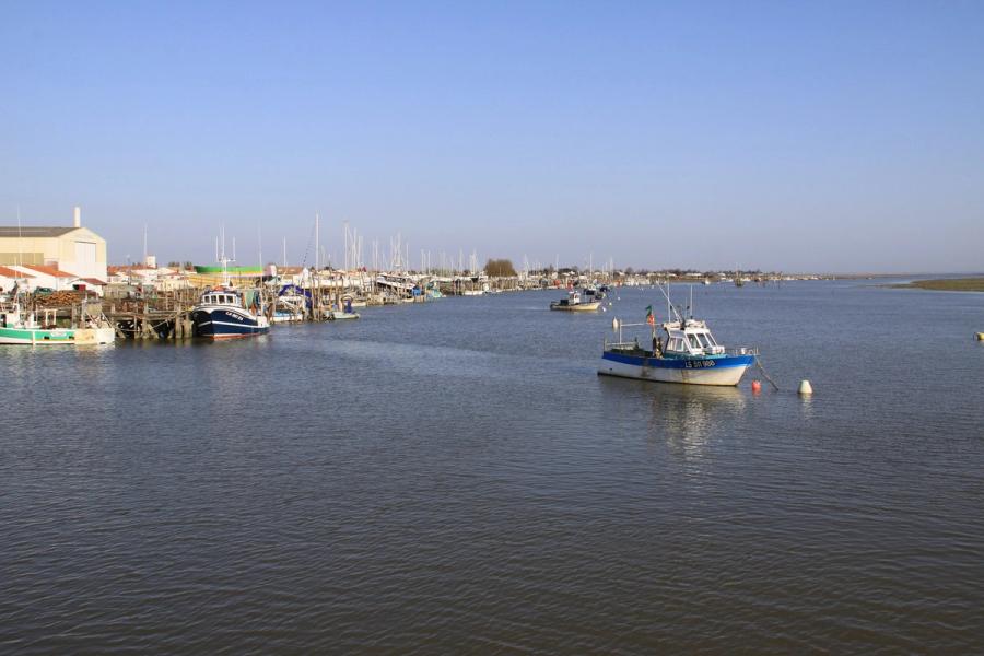 Le port de L'Aiguillon-la-Presqu'île