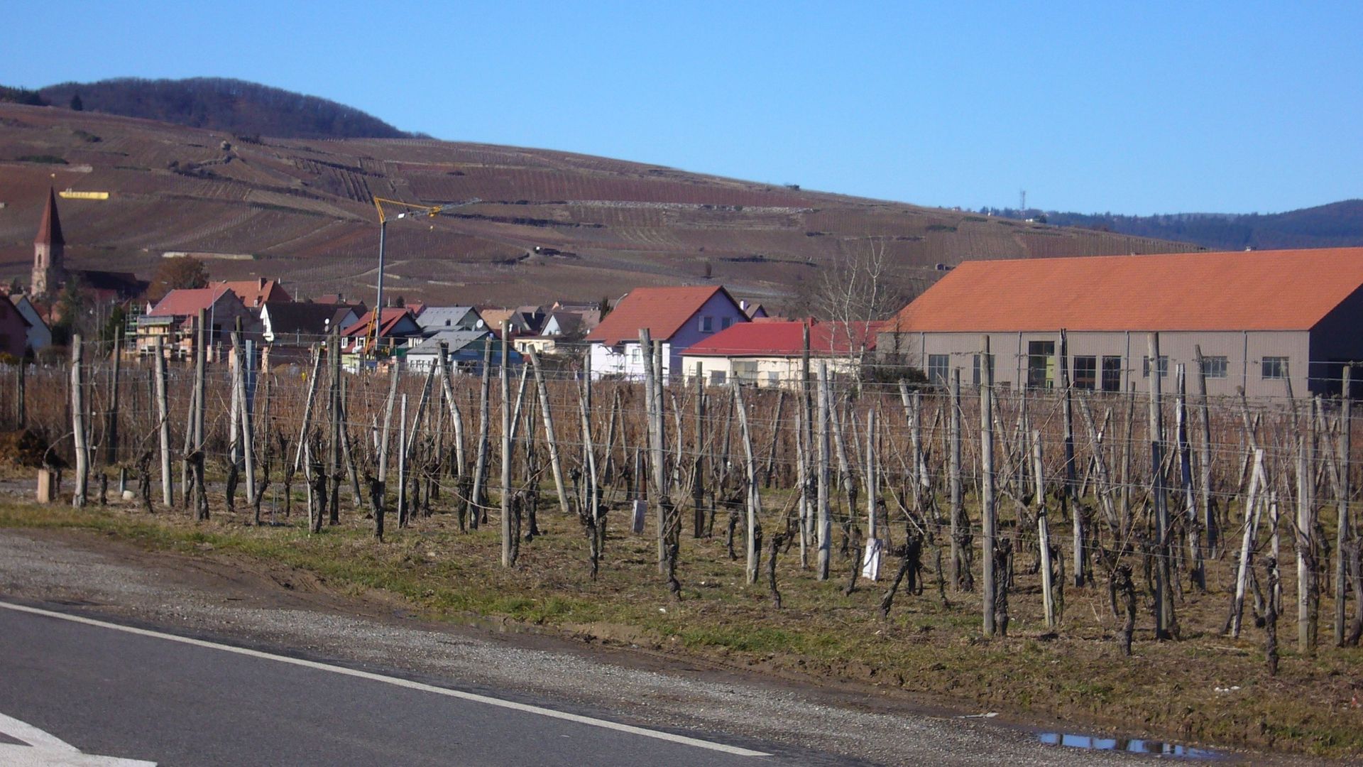 Vue de Wettolsheim