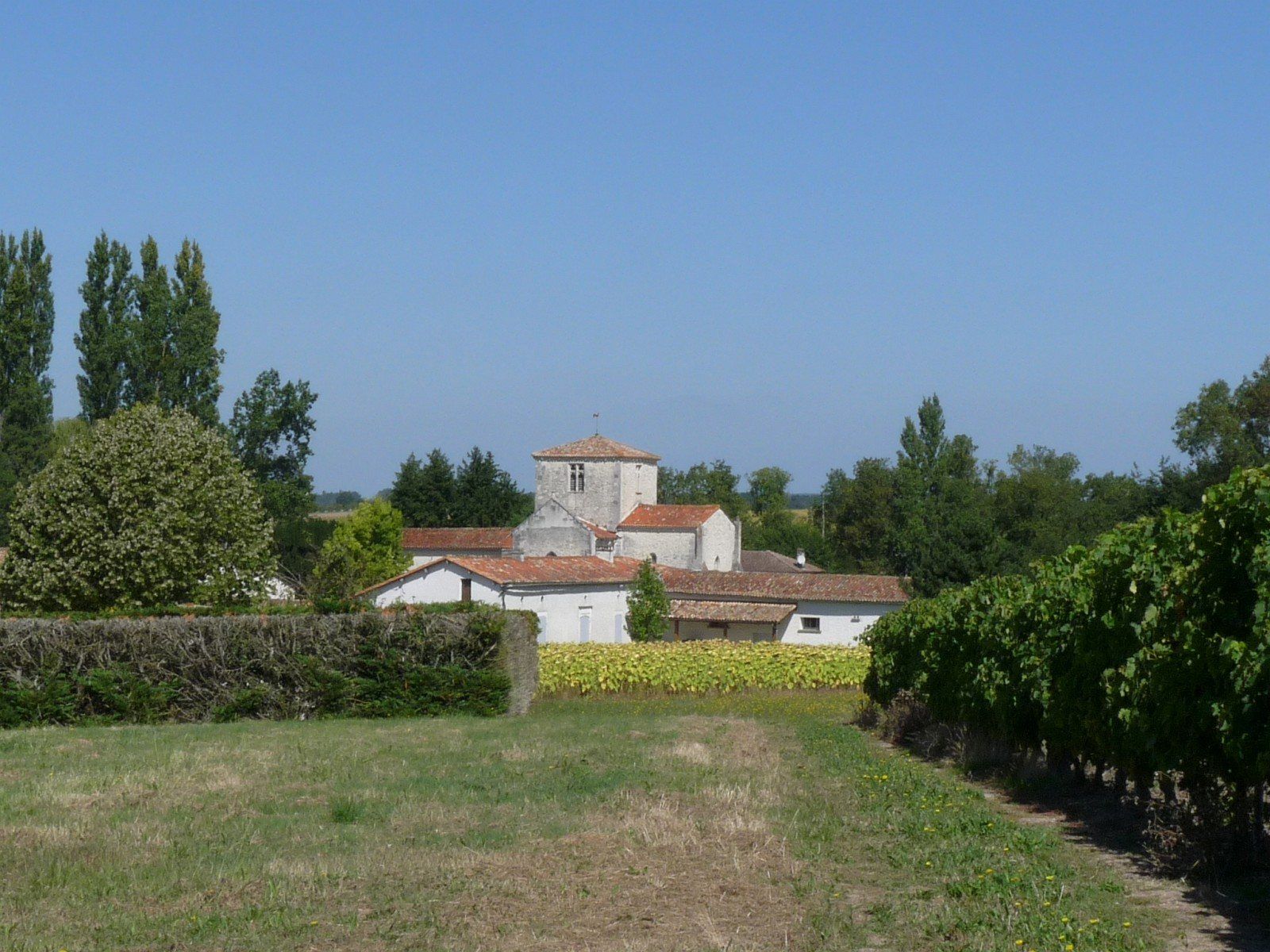 Vue de Saint-Germain-de-Vibrac