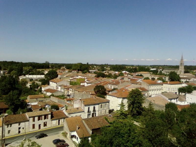 Les toits de Lesparre-Médoc