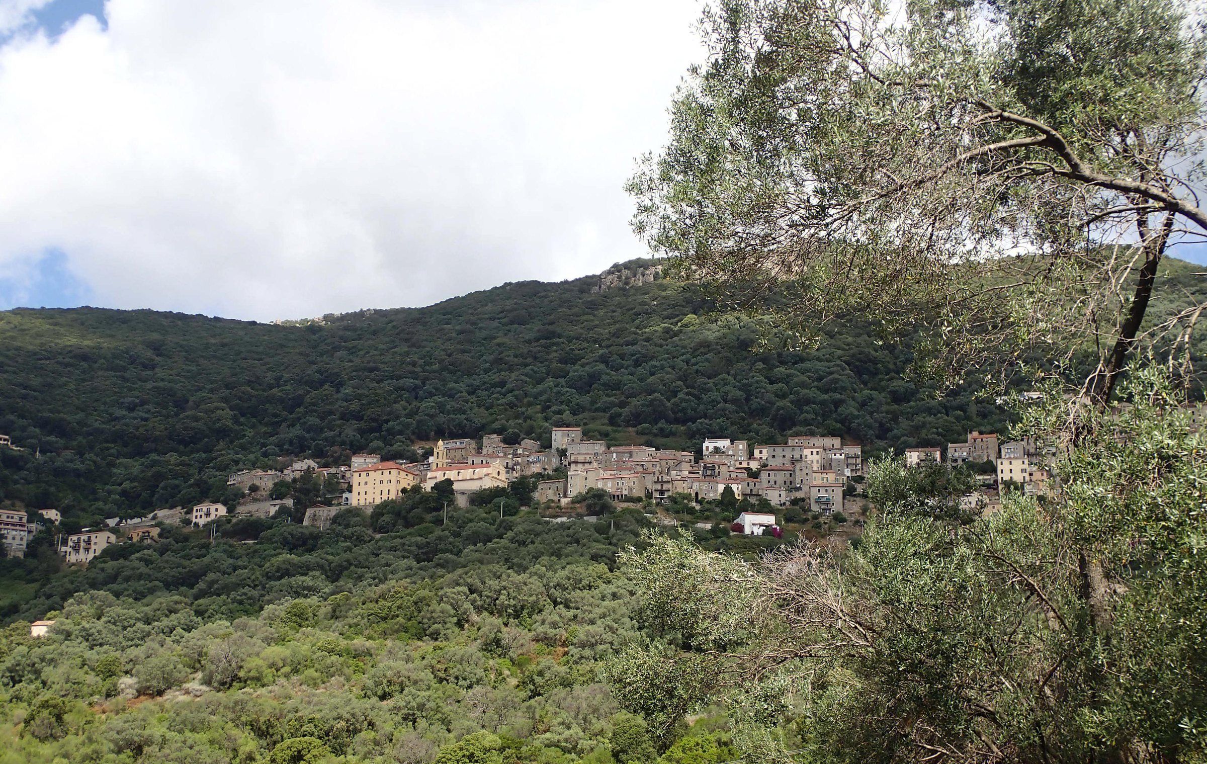 Vue d’Olmeto