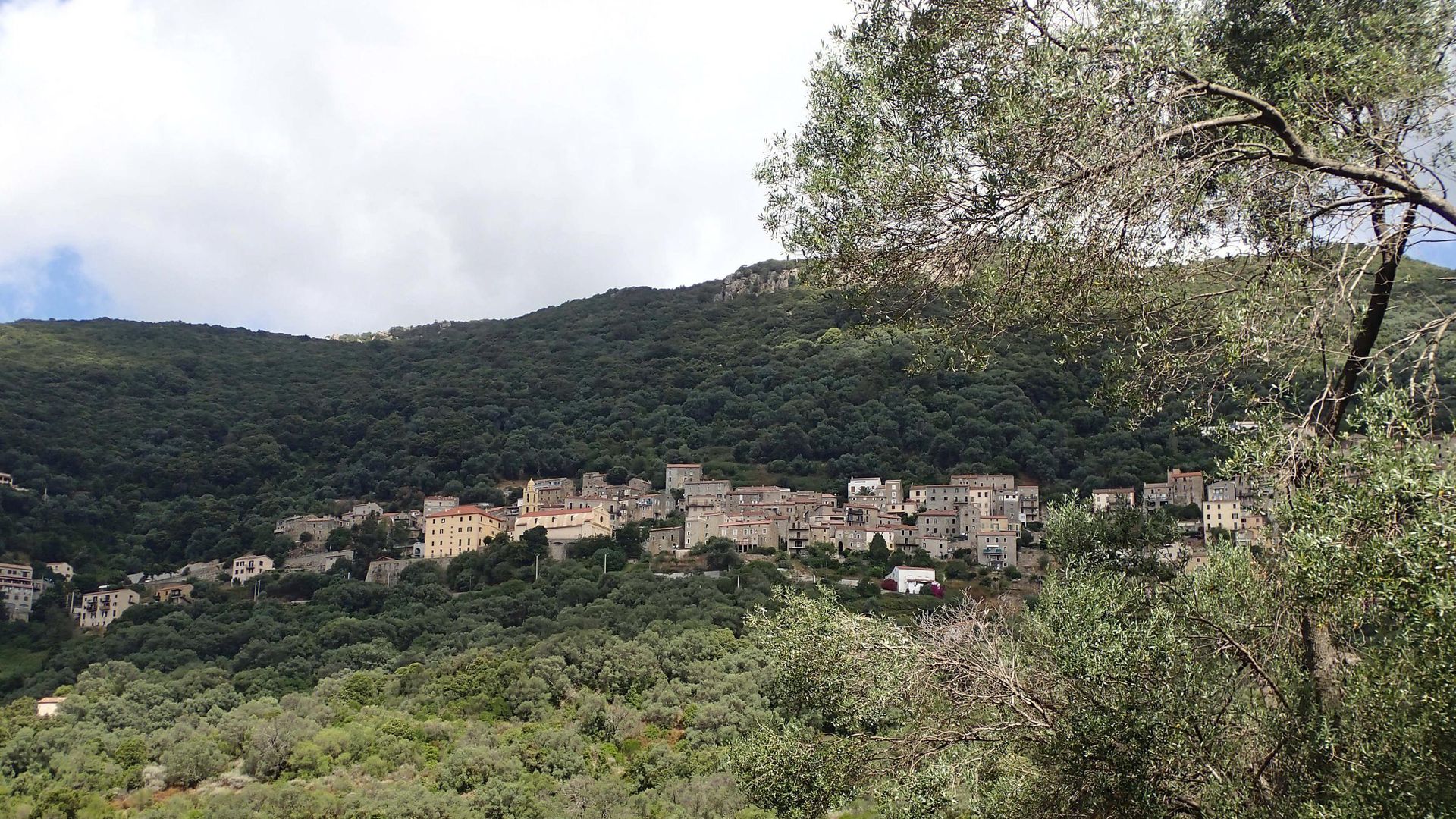 Vue d’Olmeto