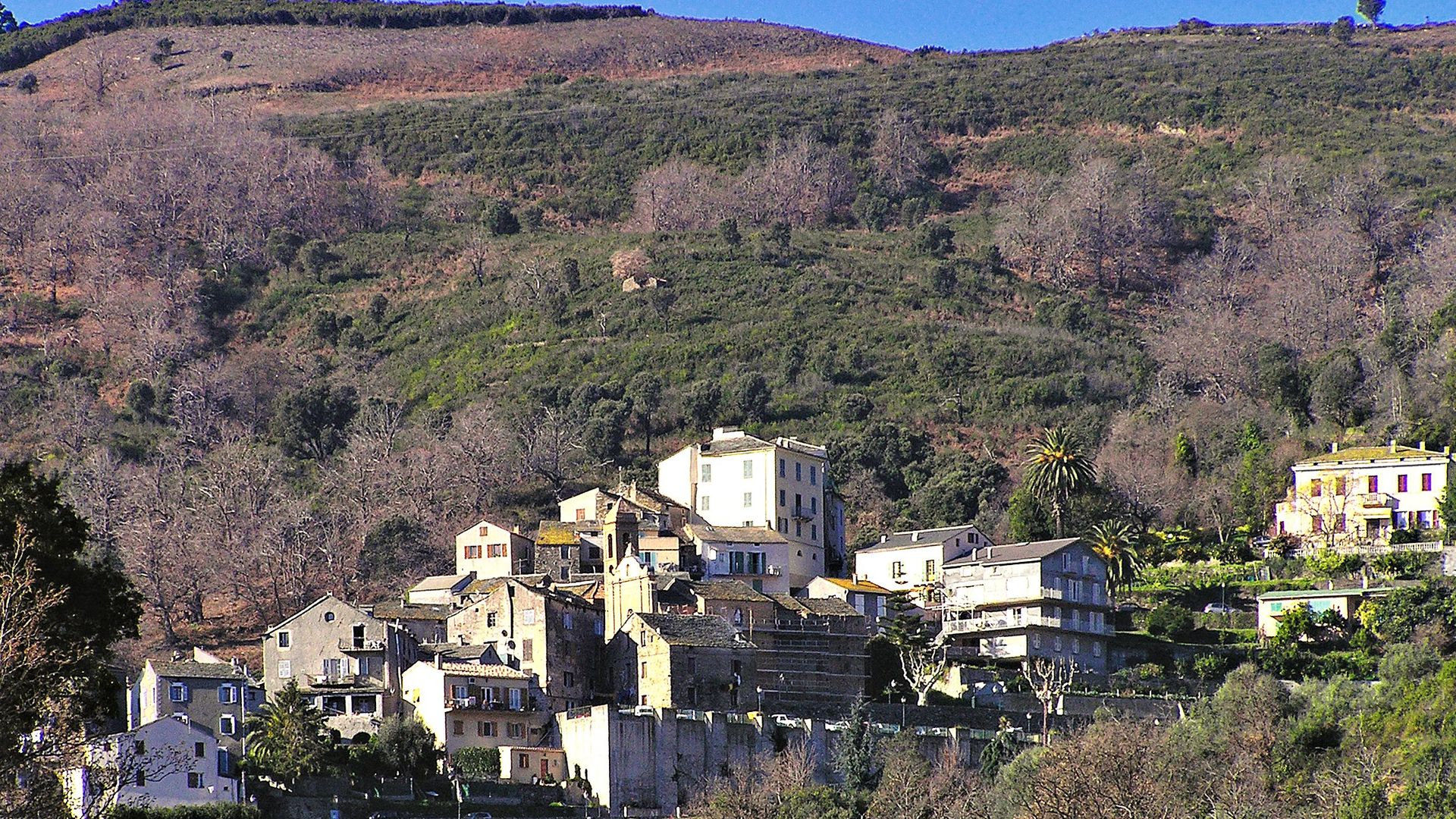 Vue de Lucciana