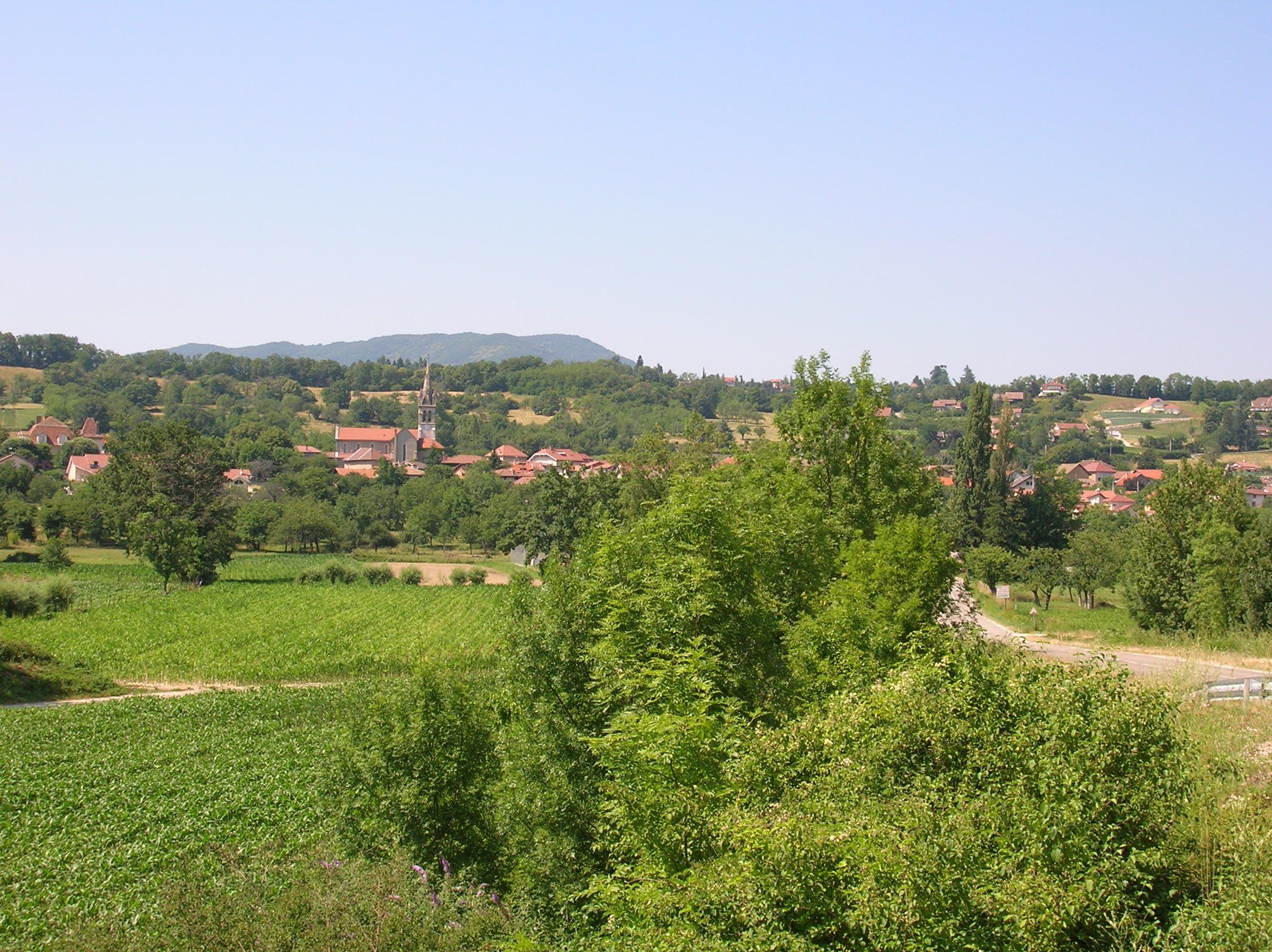 Vue de Saint-Jean-de-Moirans