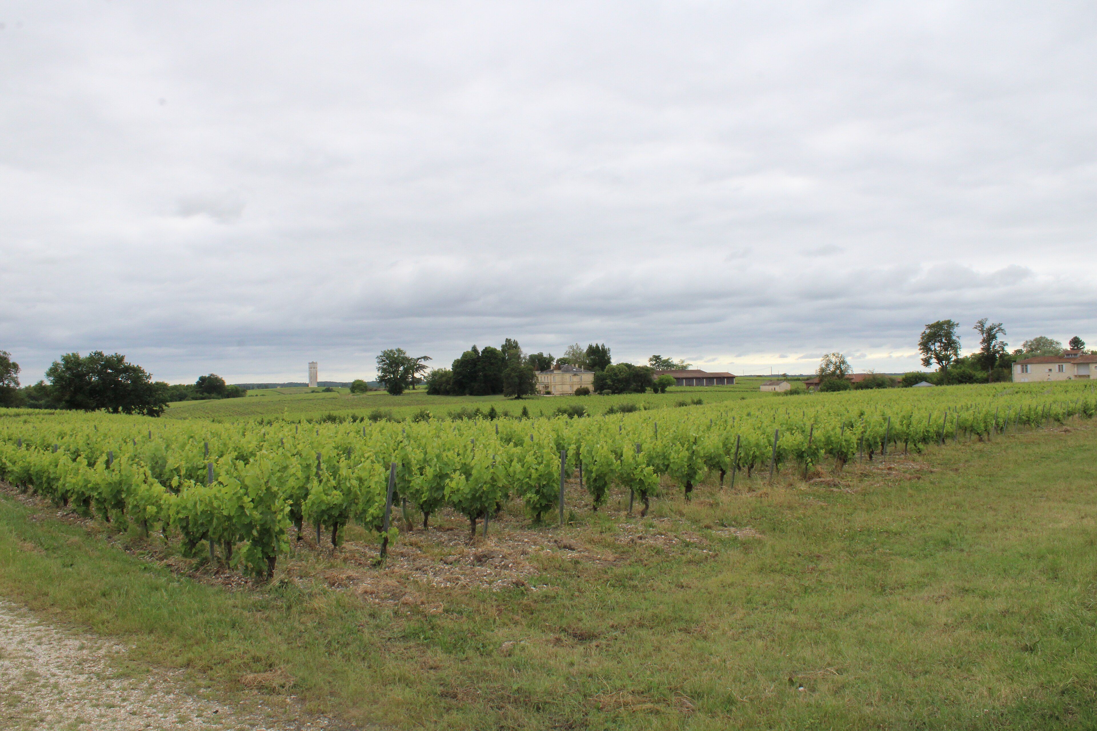 Vue de Saint-Seurin-de-Cadourne