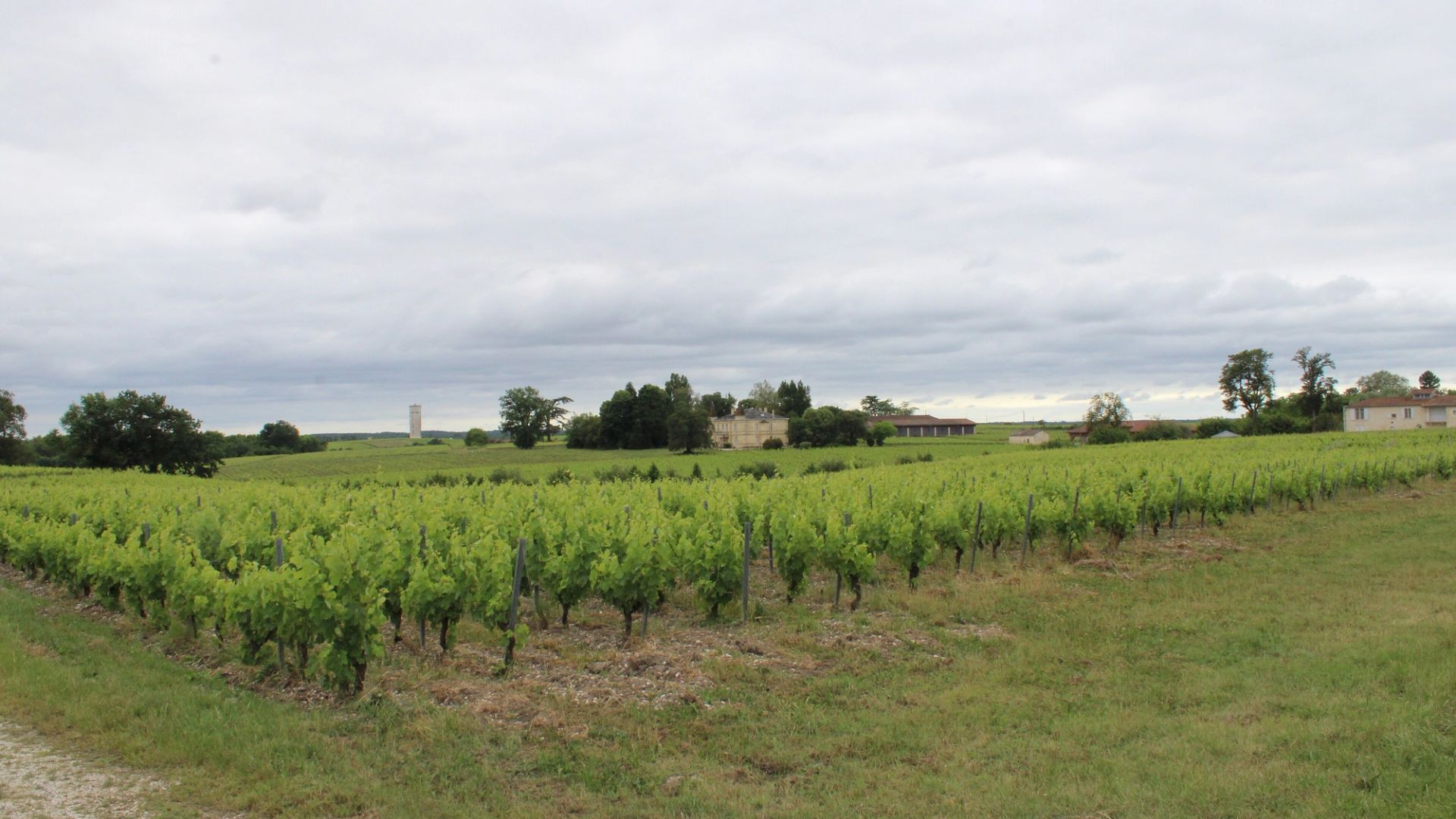 Vue de Saint-Seurin-de-Cadourne