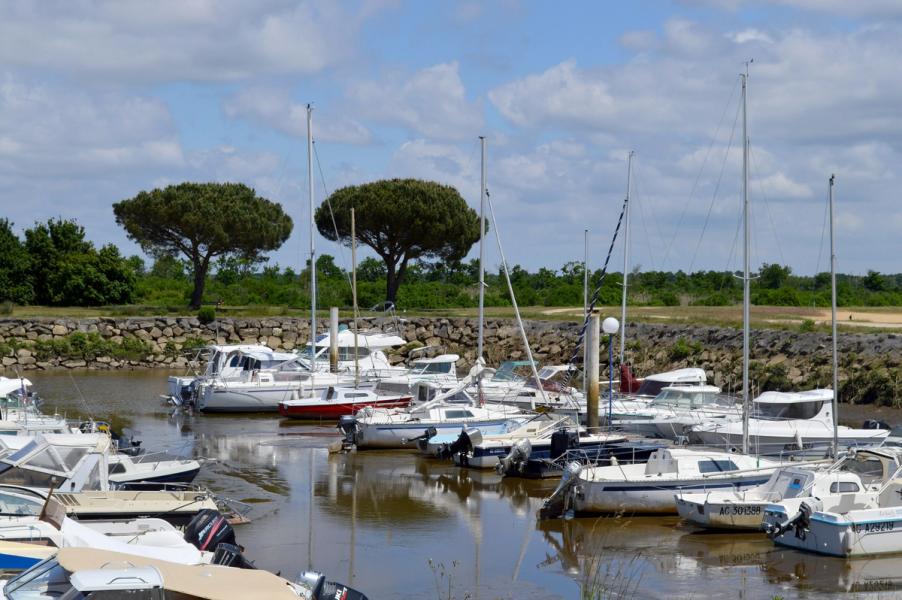 Le port du Teich