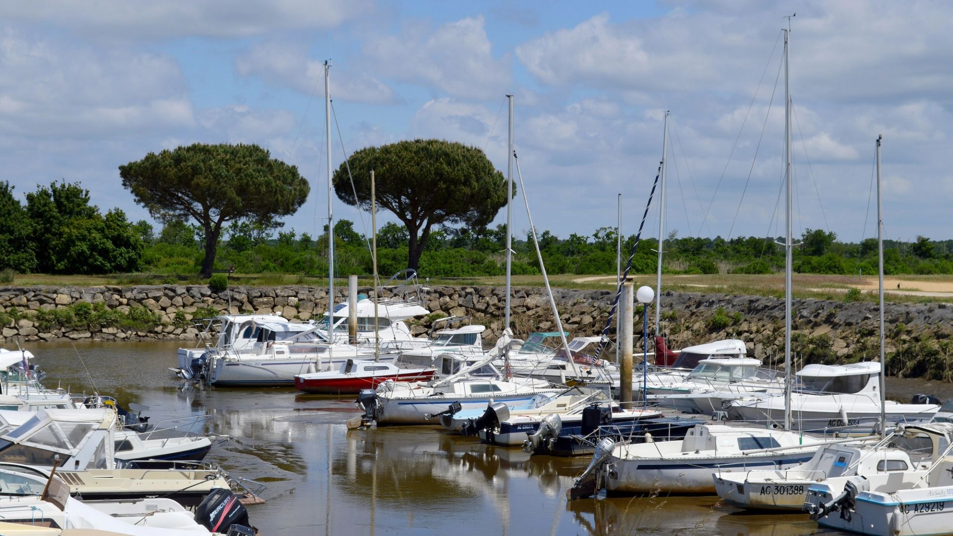 Le port du Teich