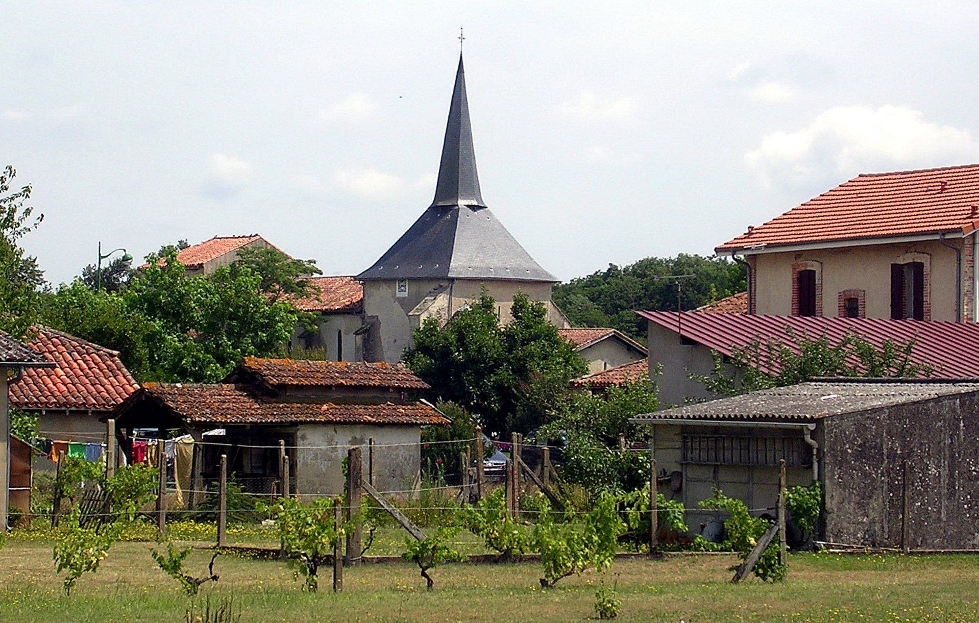 Vue de Saint-Paul-en-Born