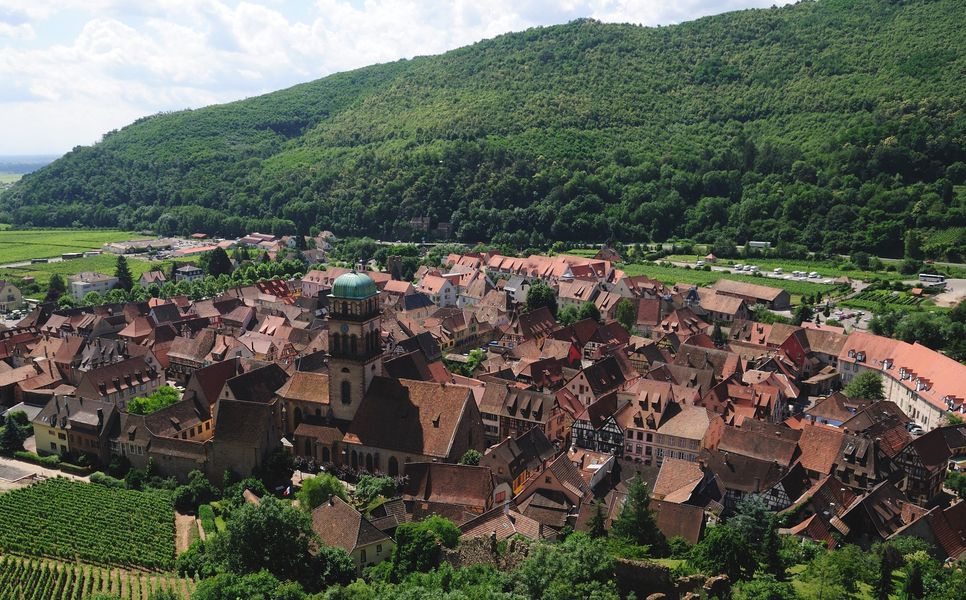 Vue de Kaysersberg Vignoble