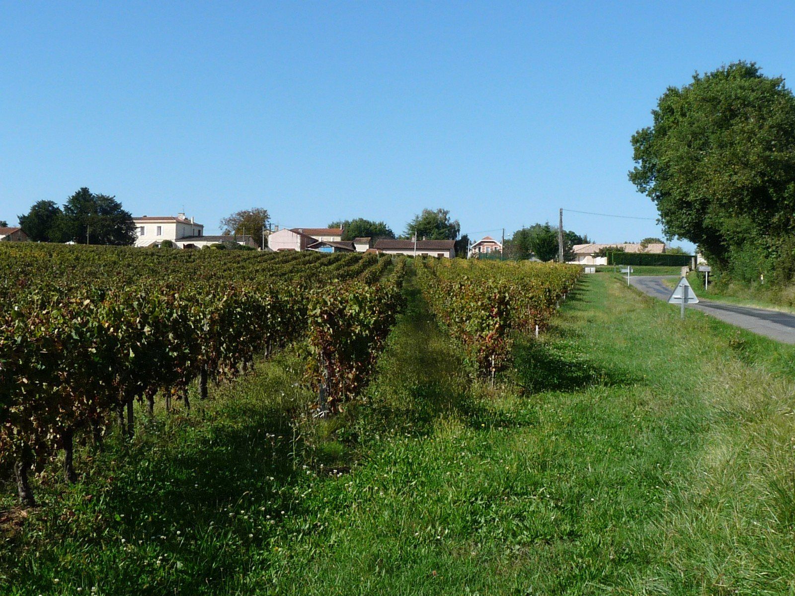 Vue de Saint-Ciers-de-Canesse