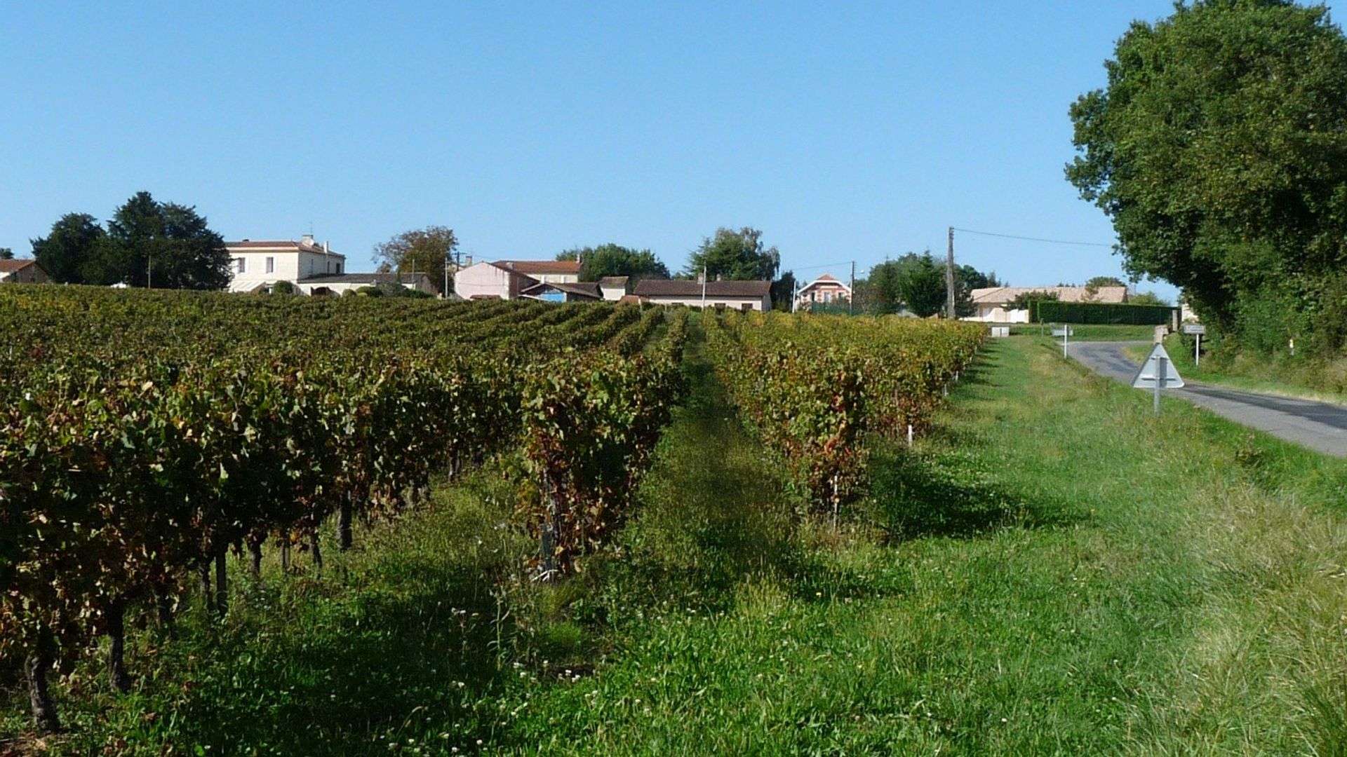 Vue de Saint-Ciers-de-Canesse