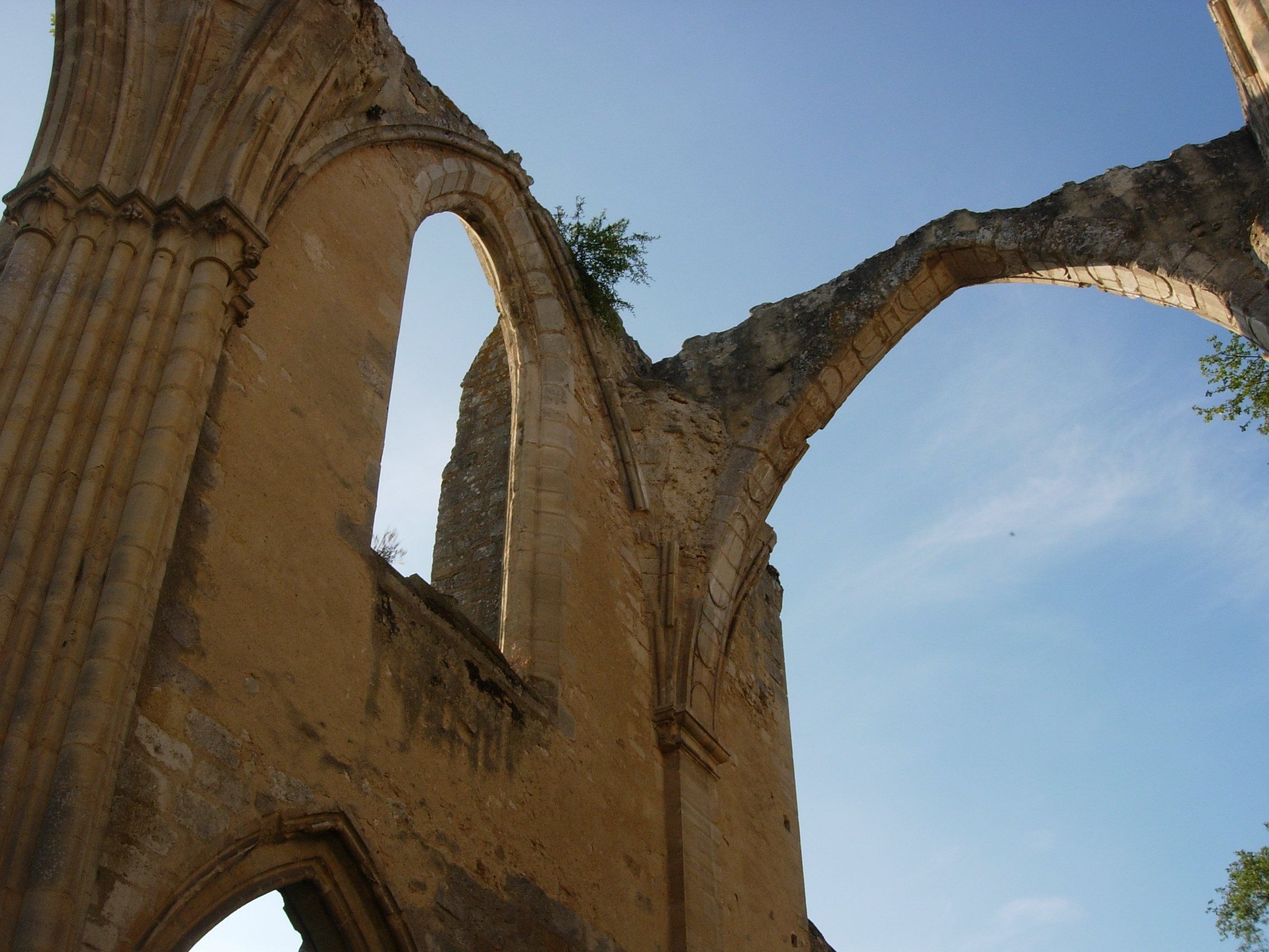 Vue de Dammarie-les-Lys