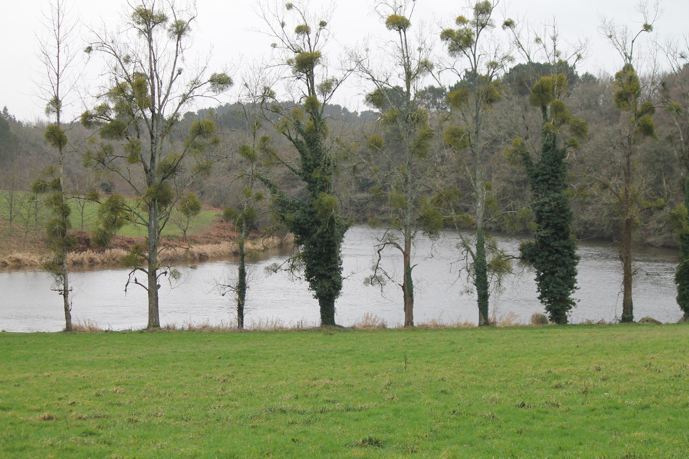 Vue de Muzillac