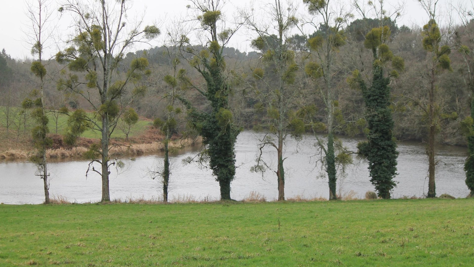 Vue de Muzillac