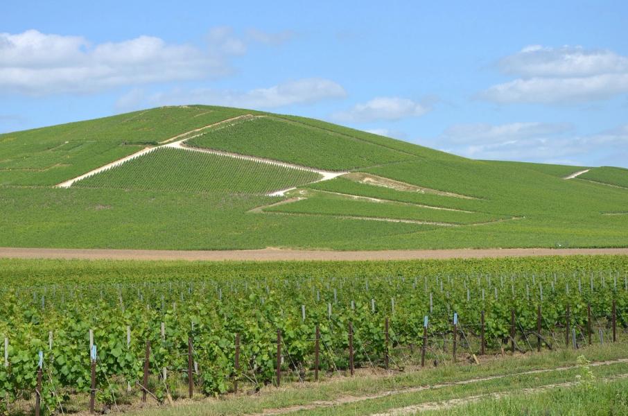 Vue d’Aÿ-Champagne