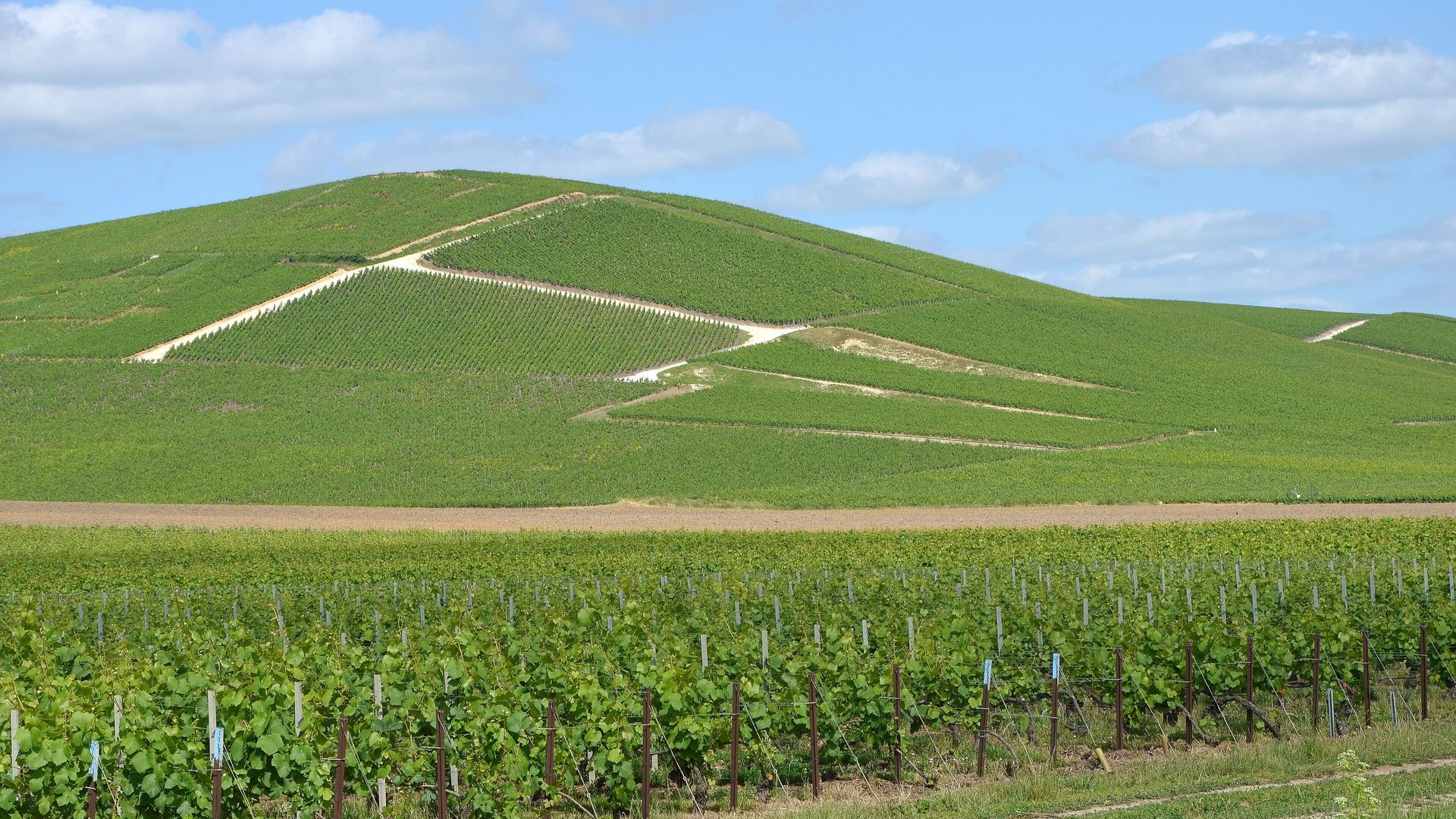 Vue d’Aÿ-Champagne