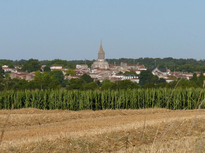 Vue de Pont-l'Abbé-d'Arnoult