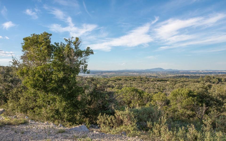 Vue de Montpellier