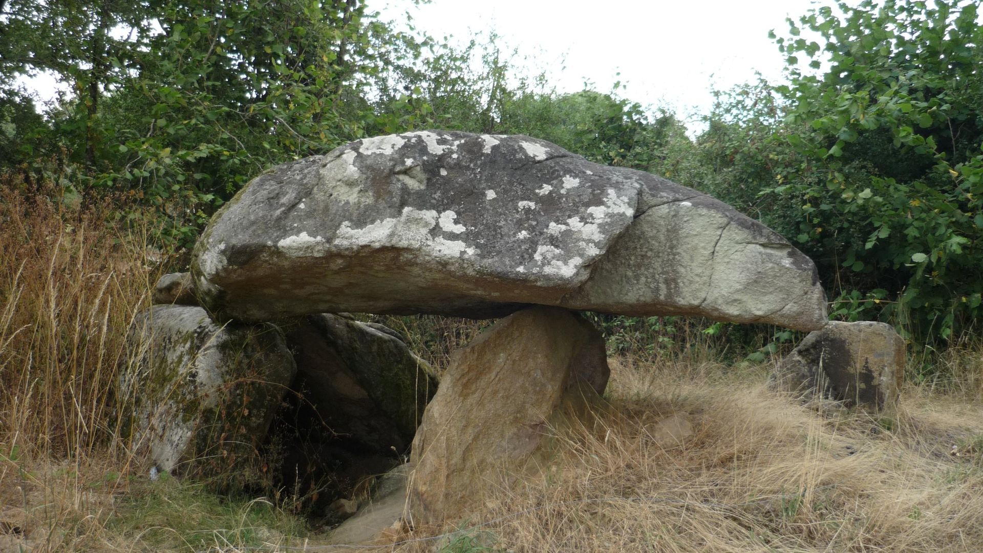 Vue du Pin