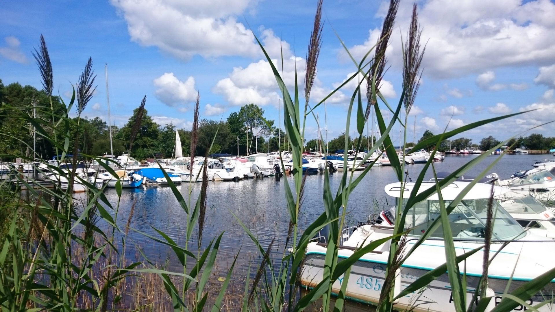 Le petit port sur le lac de Sanguinet