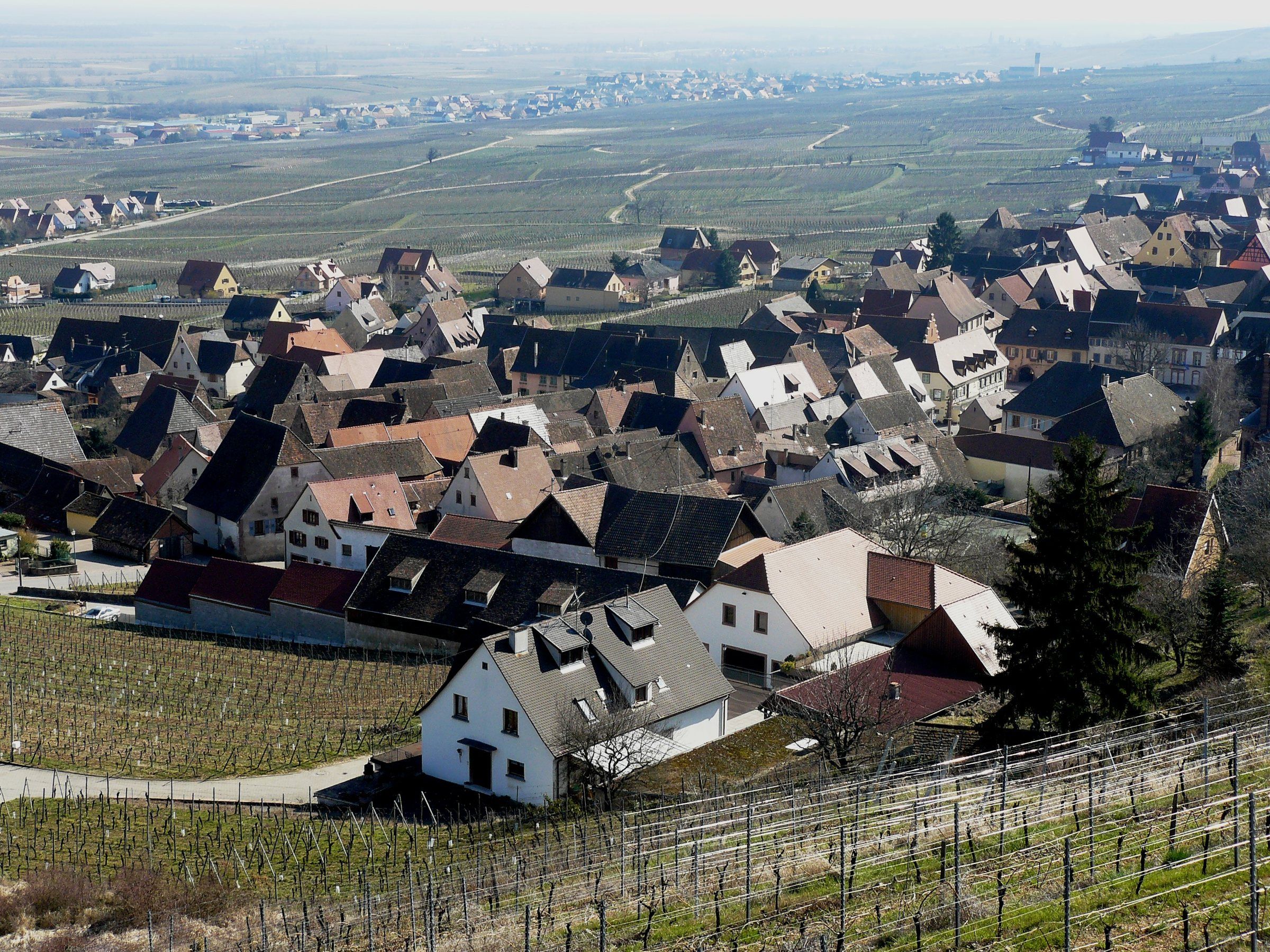 Vue de Gueberschwihr