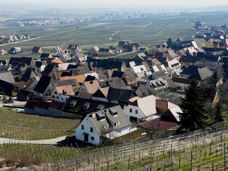 Vue de Gueberschwihr