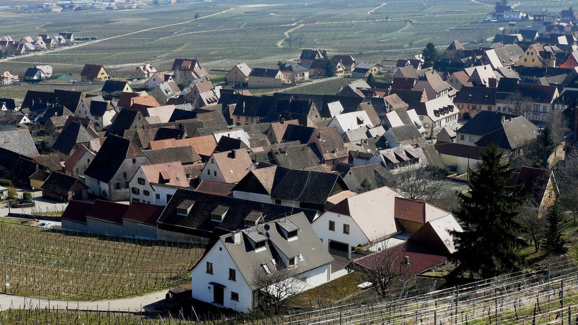 Vue de Gueberschwihr