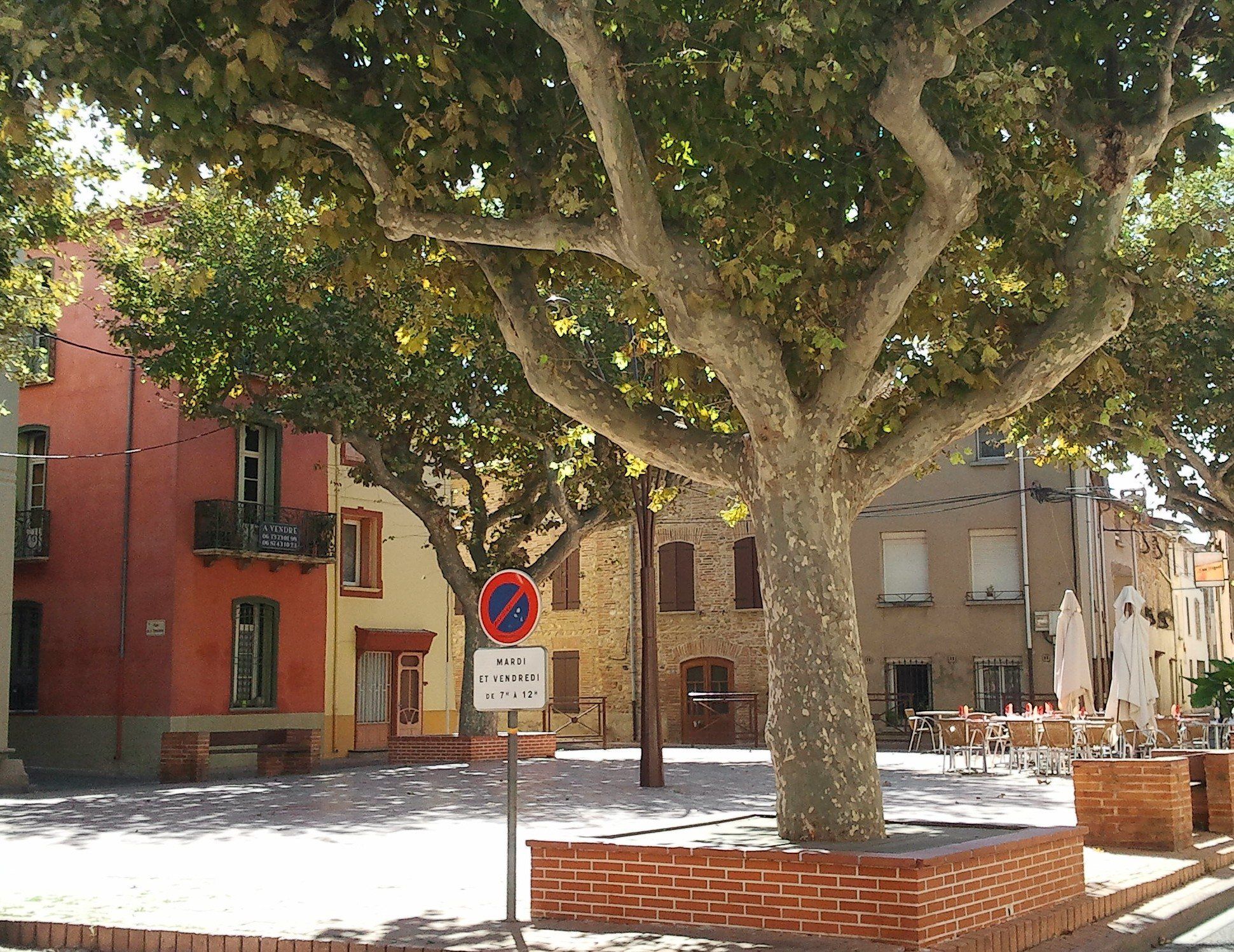 Vue de Torreilles