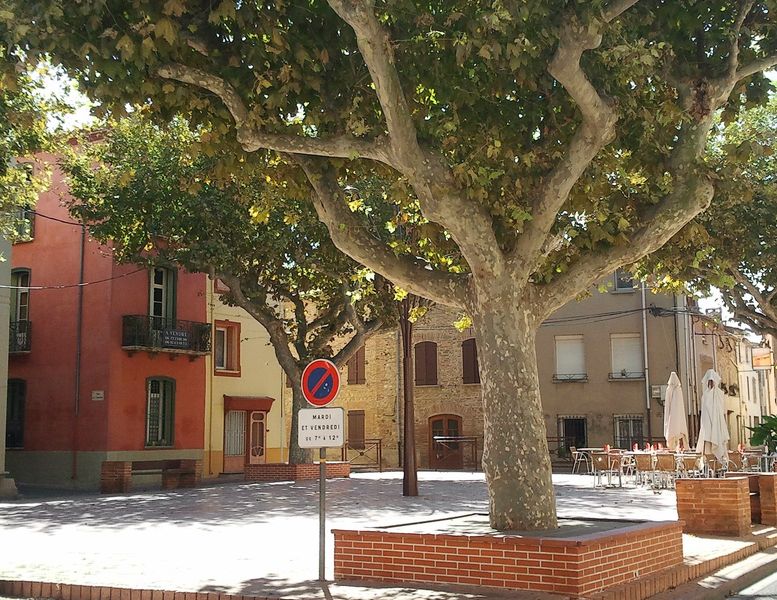 Vue de Torreilles