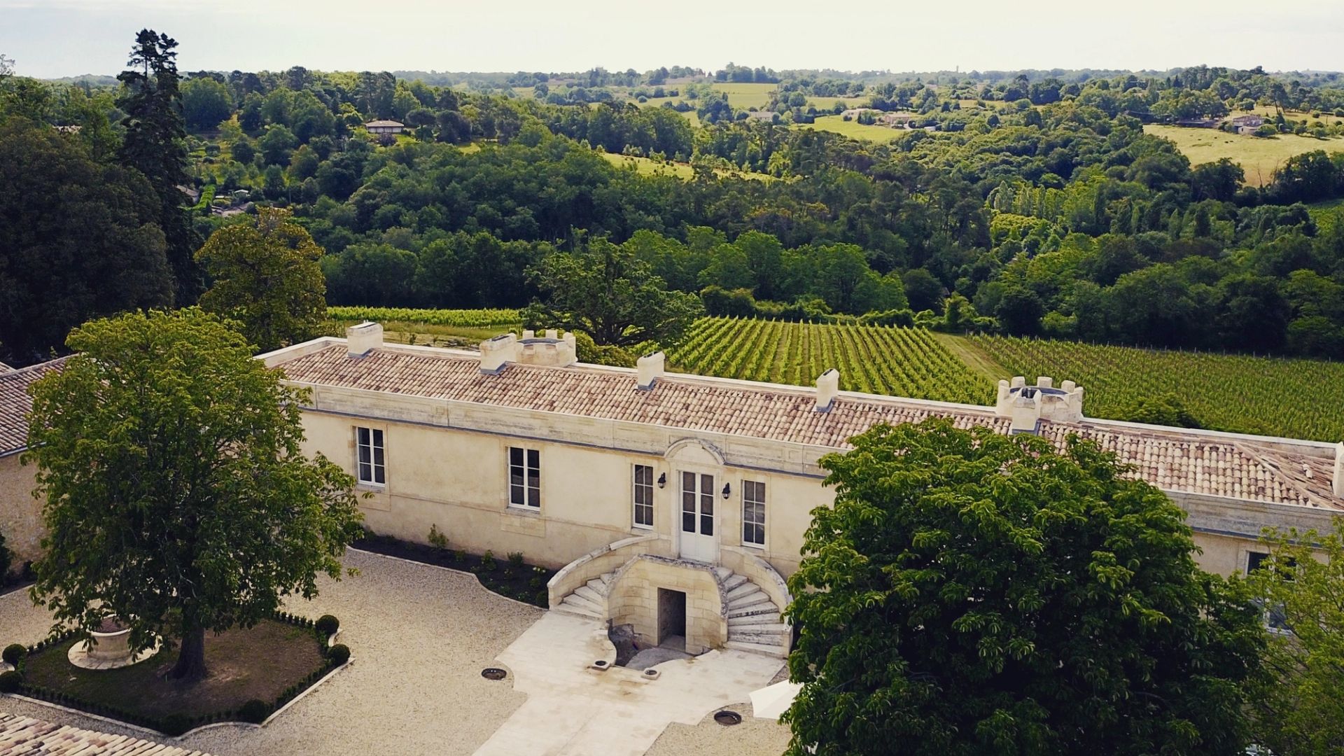 Les vignes de Cambes