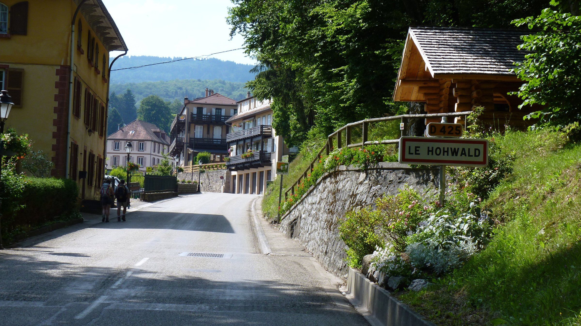 Vue du Hohwald