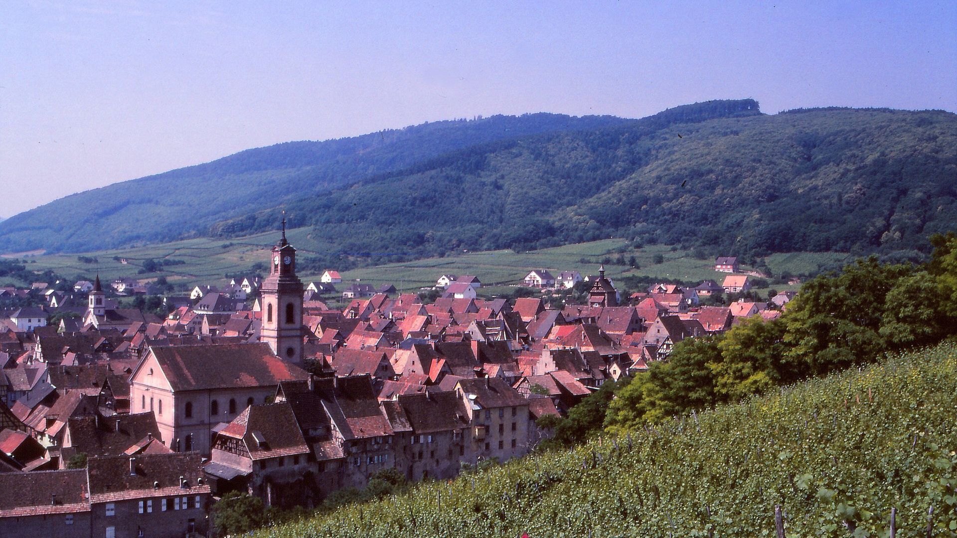 Vue de Riquewihr