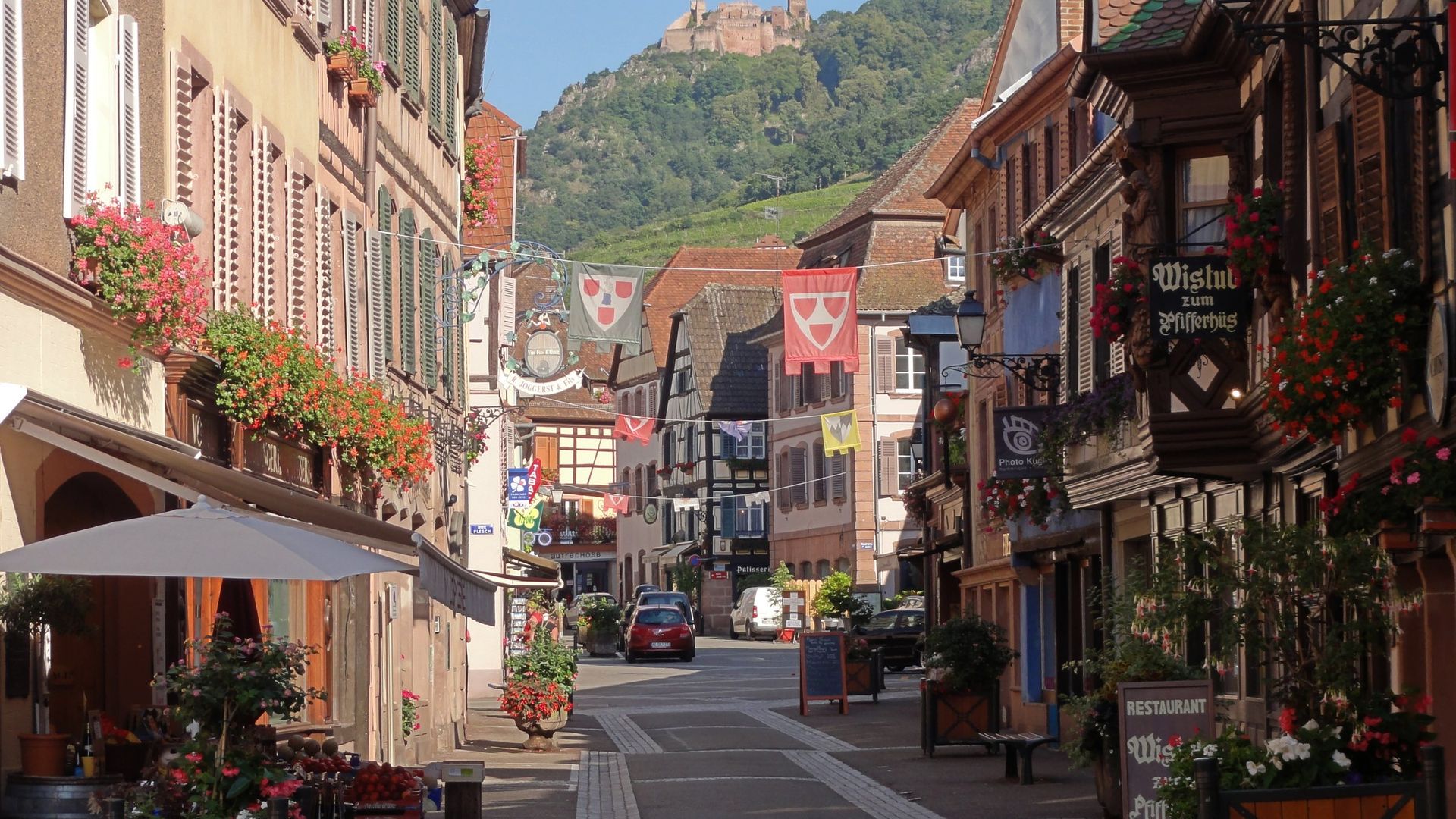 Vue de Ribeauvillé