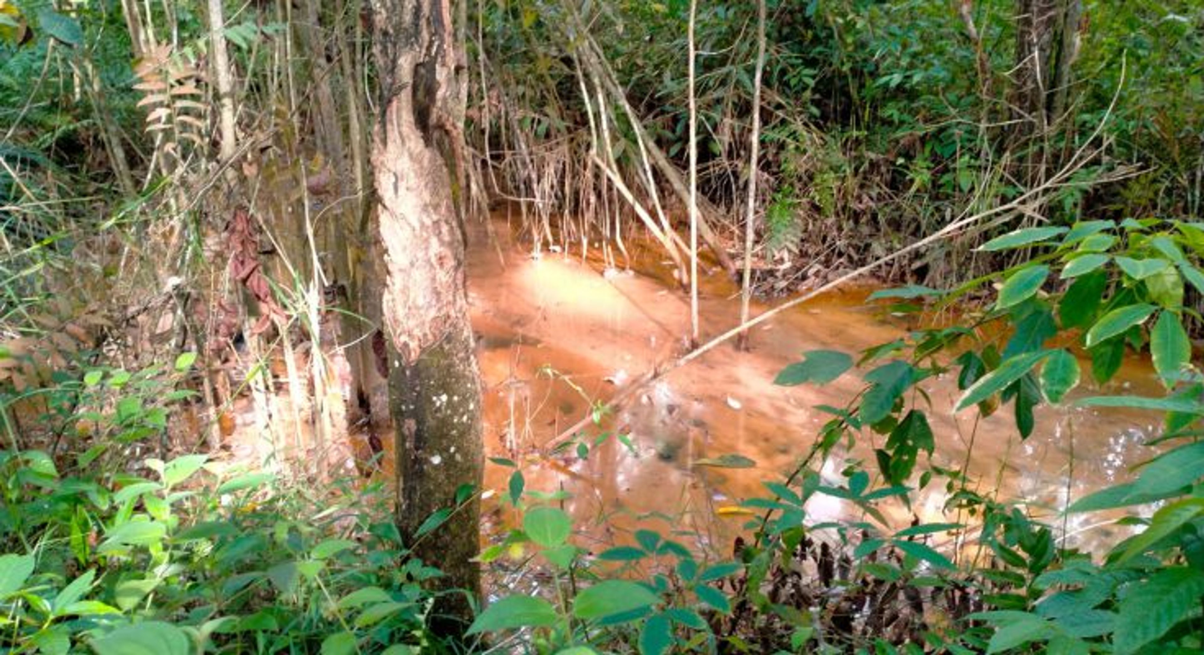 Limbah PT. ODIRA ENERGI di Banyuasin, disengaja atau lalai ?