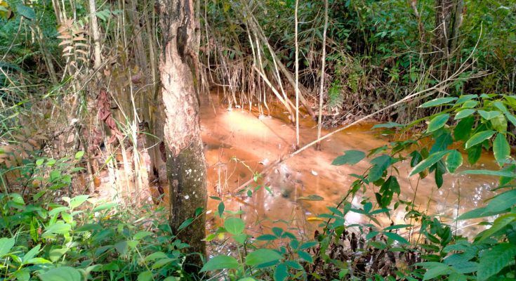 Limbah PT. ODIRA ENERGI di Banyuasin, disengaja atau lalai ?