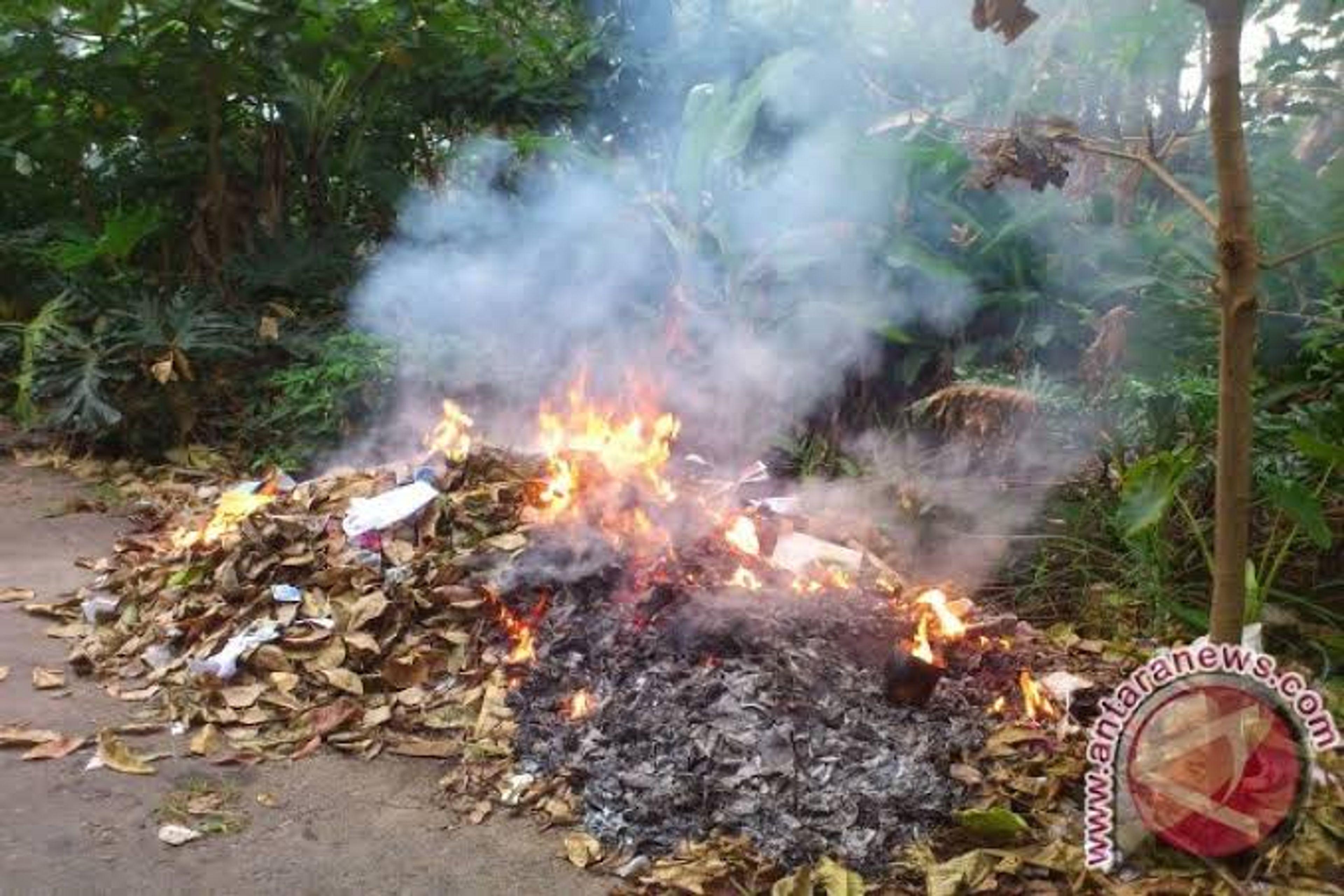 Hukumnya Membakar Sampah Sembarangan