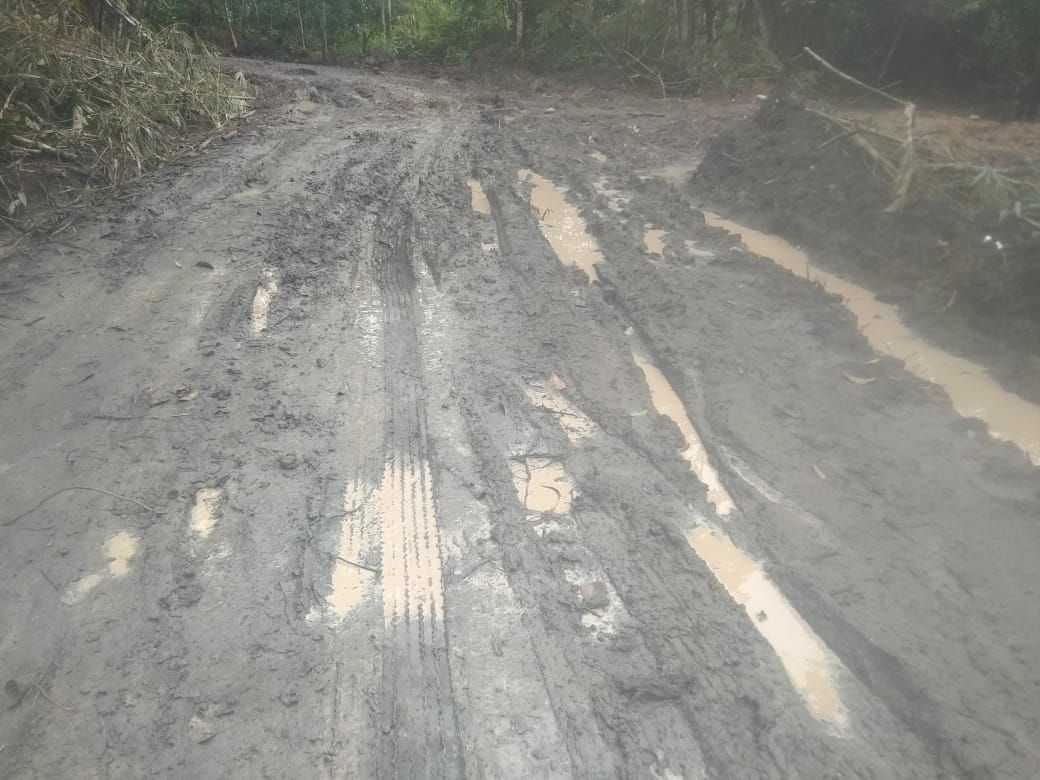 Jalan Produksi Perkebunan Diduga Dikerjakan Asal-asalan.