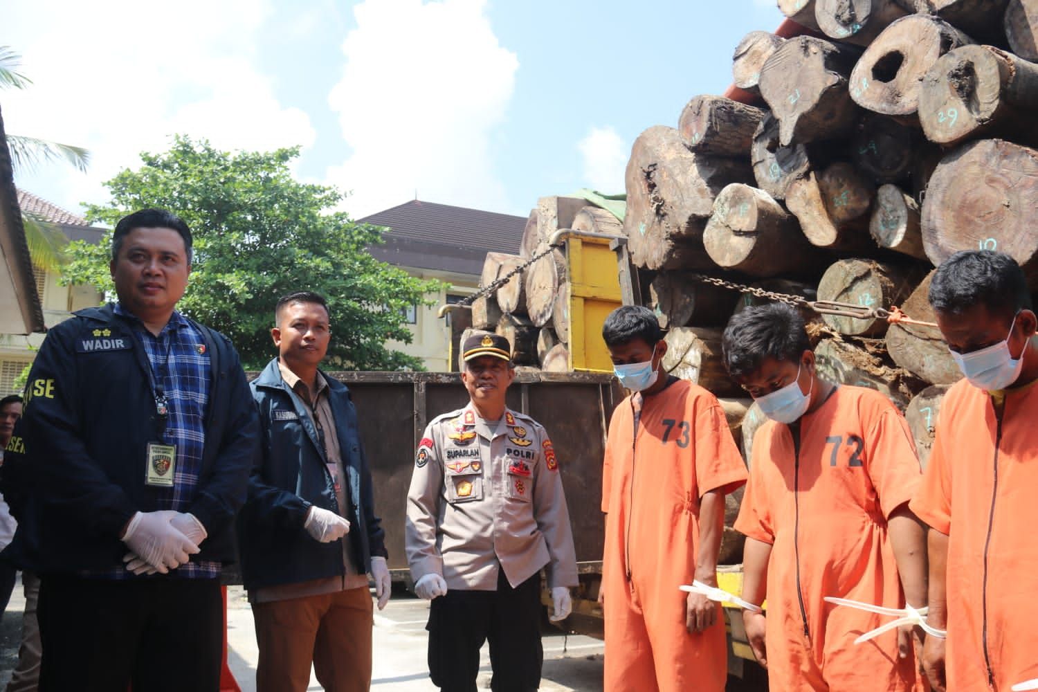 Ratusan Gelondongan Kayu Hasil Pembalakan Liar 5 Sopir Truk Diamankan Polda Sumsel