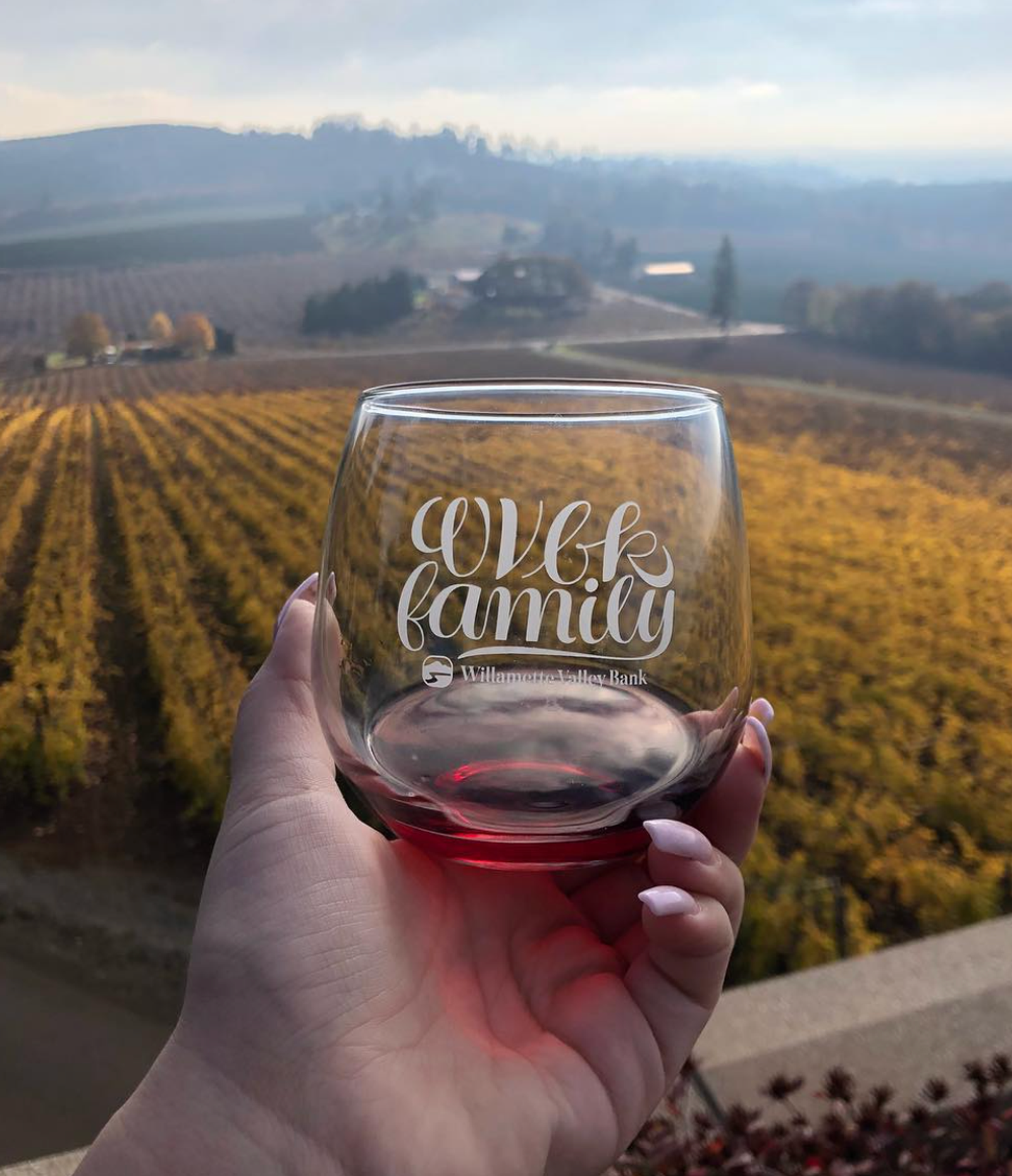 "WVBK Family" etched stemless wine glass.