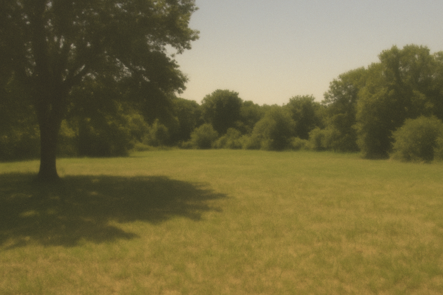 Blog post image