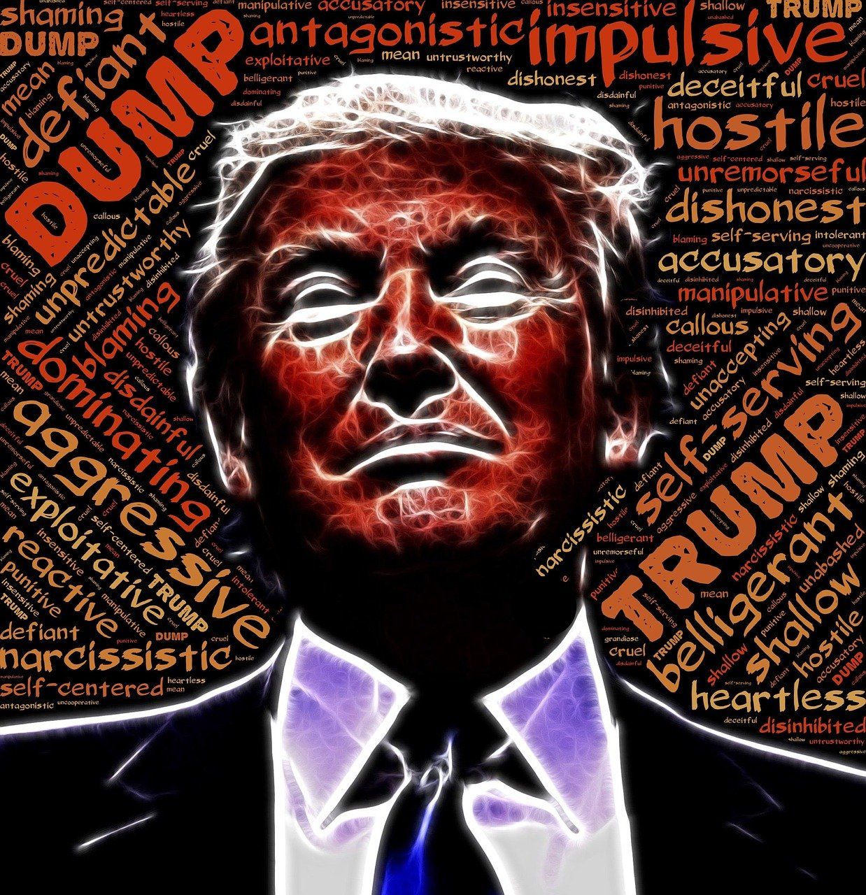 Donald Trump and series of words he's most described using online