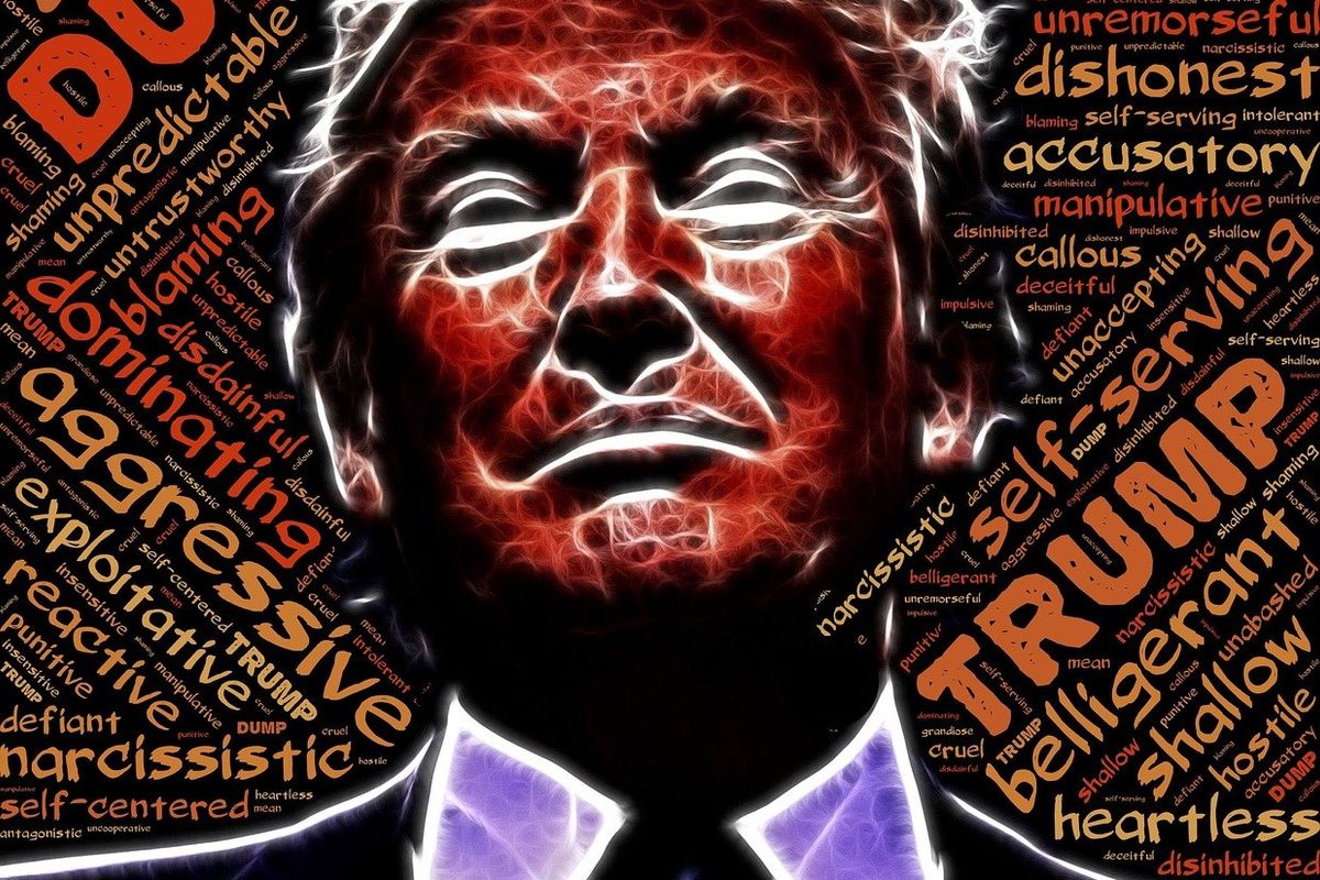 Donald Trump and series of words he's most described using online