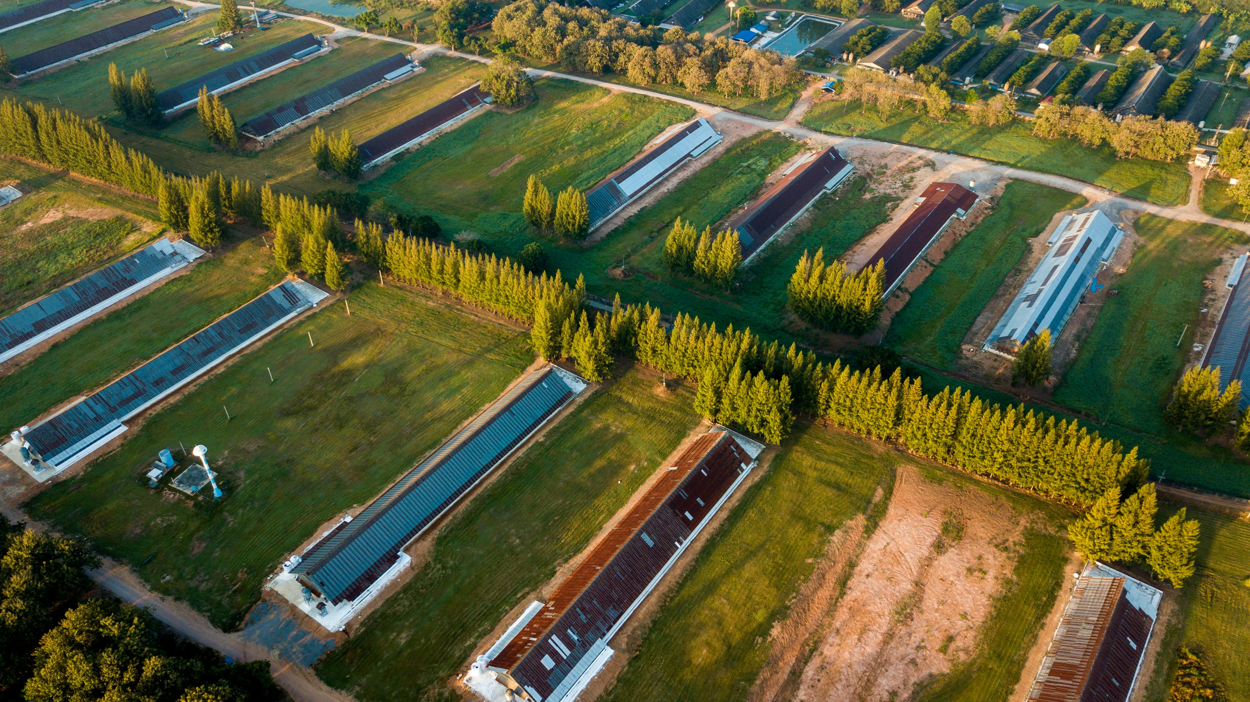 Farms with several green houses