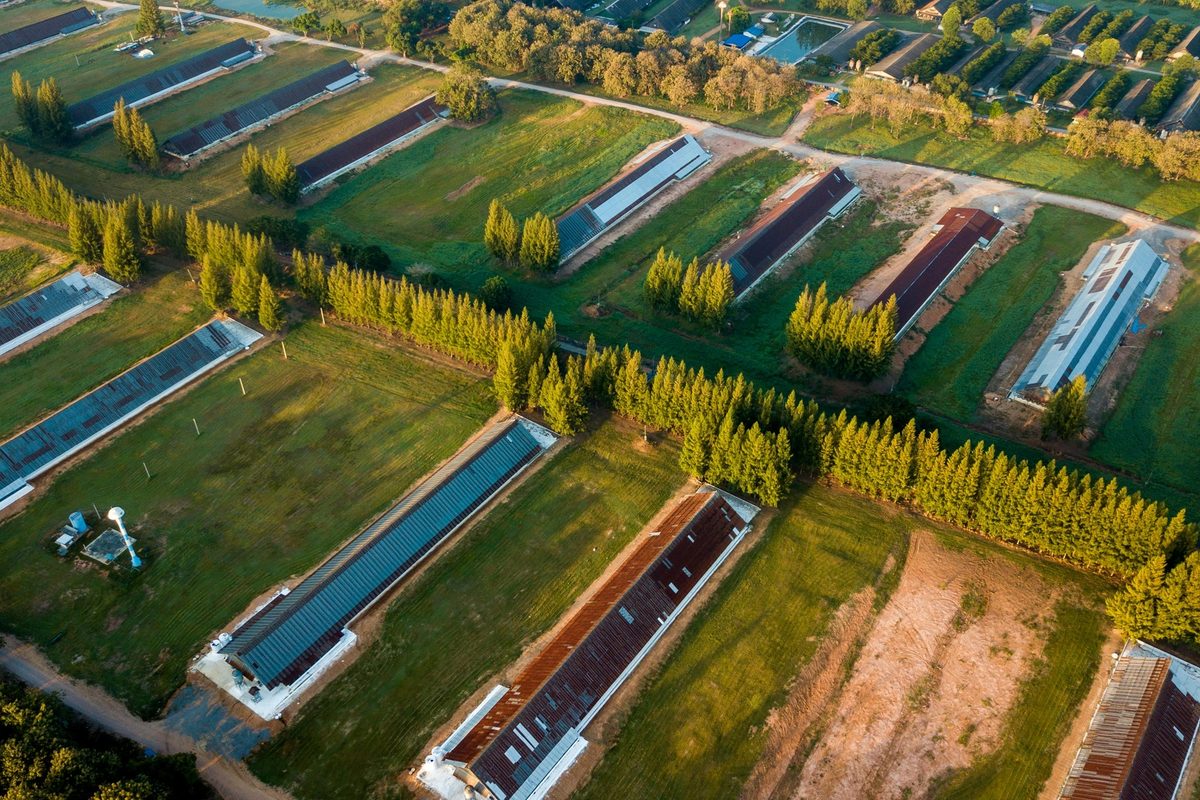 Farms with several green houses