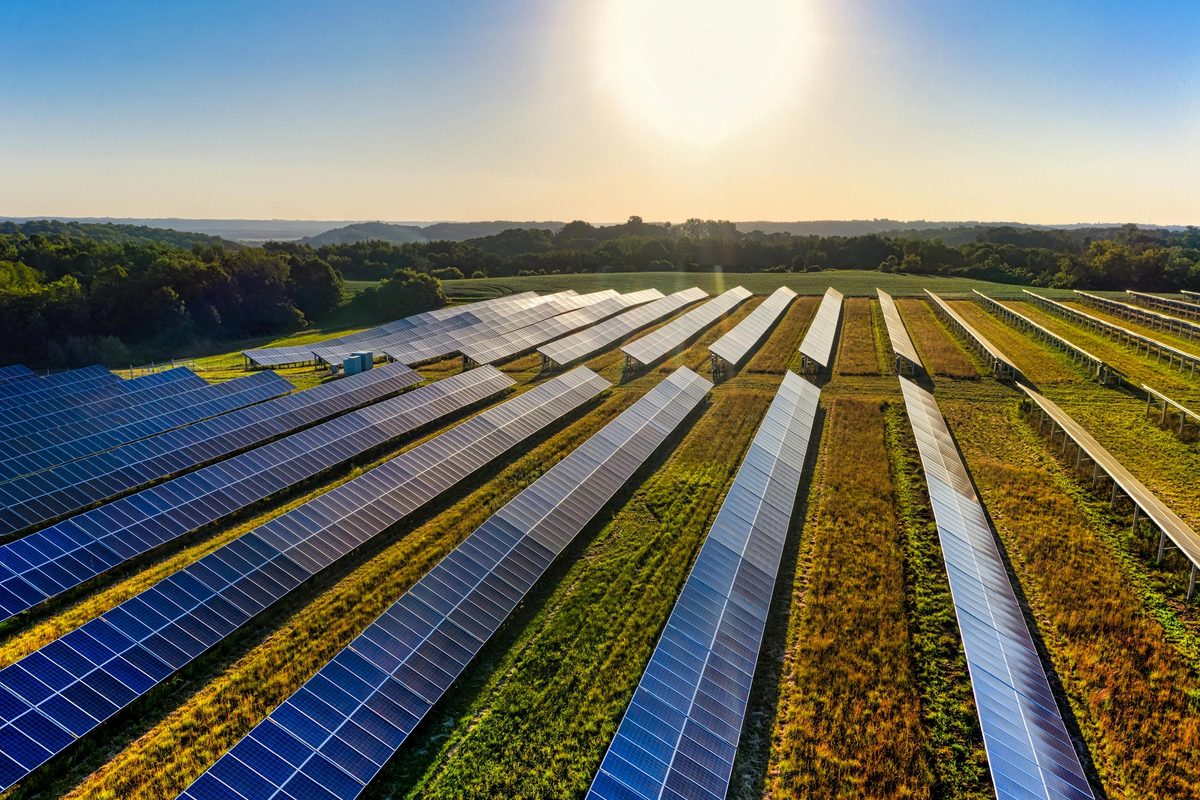 A field lined with solar panels