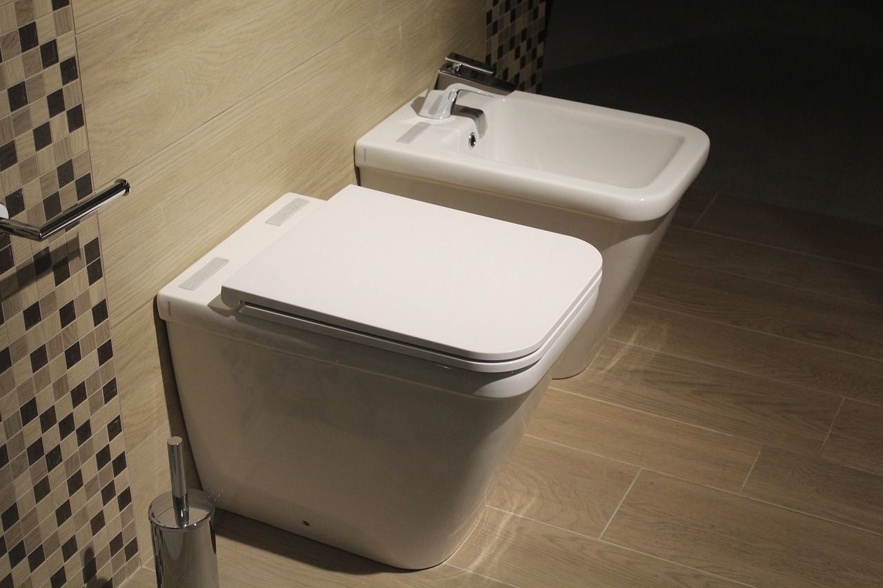 A bidet toilet